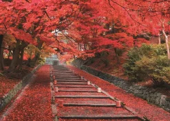 Epoch Jigsaw Puzzle 05-114 Autumn Leaves Bishamondo Temple Kyoto Japan (500 Pieces) New