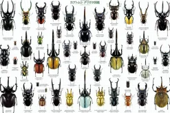 Epoch Jigsaw Puzzle 11-552 Beetle And Stag Beetle Picture Book (1000 Pieces) Fashion