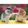 Epoch Jigsaw Puzzle 08-533 Cat (450 S-Pieces) Sale