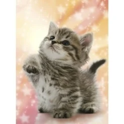 Epoch Jigsaw Puzzle 04-530 Cat (216 S-Pieces) Sale