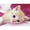Epoch Jigsaw Puzzle 04-521 Cat (216 S-Pieces) Shop