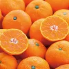 Epoch Jigsaw Puzzle 79-364 Challenge From Mr.Puzzle -Challenge From Mandarin Orange- (1053 S-Pieces) Cheap