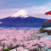 Epoch Jigsaw Puzzle 10-787 Cherry Blossom And Gojunoto In Yamanashi (1000 Pieces) Cheap