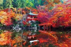 Epoch Jigsaw Puzzle 10-813 Daigoji Temple Autumn Kyoto Japan (1000 Pieces) Shop