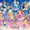 Epoch Jigsaw Puzzle 74-201 Disney Starry Twilight Princess (500 Pieces) Clearance
