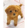 Epoch Jigsaw Puzzle 04-532 Dog (216 S-Pieces) Best