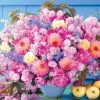 Epoch Jigsaw Puzzle 11-588 Flower Become A Heroine Who Is Loved! Romance Pink (1000 Pieces) Best