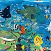 Epoch Jigsaw Puzzle 11-544 Great Barrier Reef, Australia (1000 Pieces) Shop