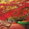 Epoch Jigsaw Puzzle 23-595 Japanese Scenery Ueda Castle Park Nagano (2016 S-Pieces) Cheap