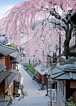 Epoch Jigsaw Puzzle 05-098 Japan Landscape Sakura In Bloom Sannei-Zaka Kyoto (500 Pieces) Cheap