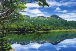 Epoch Jigsaw Puzzle 11-487 Japanese Scenery Shiretoko Hokkaido (1000 Pieces) Hot