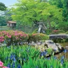 Epoch Jigsaw Puzzle 10-779 Japanese Scenery Kenroku-En Ishikawa (1000 Pieces) Outlet
