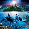Epoch Jigsaw Puzzle 21-303 Lassen Harmonious Orca Ii (3000 S-Pieces) New