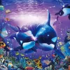 Epoch Jigsaw Puzzle 28-328 Lassen Brilliant Passage (300 Pieces) Outlet
