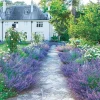 Epoch Jigsaw Puzzle 25-191 Lilac Blue Garden (300 Pieces) Cheap