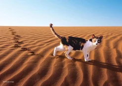Epoch Jigsaw Puzzle 03-054 Mitsuaki Iwago's Cat Puzzle Dawn Desert (108 Pieces) Fashion