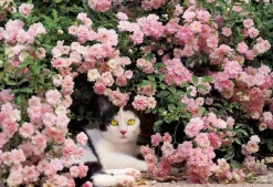 Epoch Jigsaw Puzzle 26-305 Mitsuaki Iwago's Cat Puzzle Mom's Rest (300 Pieces) Sale