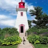 Epoch Jigsaw Puzzle 26-303 Mitsuaki Iwago's Cat Puzzle Small Lighthouse (300 Pieces) Clearance