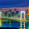 Epoch Jigsaw Puzzle 04-534 Odaiba Tokyo Jpaan (216 S-Pieces) Online