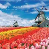 Epoch Jigsaw Puzzle 25-181 Quotation Landscape Andersen (300 Pieces) Best Sale