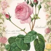 Epoch Jigsaw Puzzle 26-321 Redoute Rose Story Flower (300 Pieces) Online