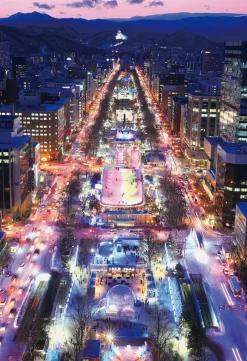 Epoch Jigsaw Puzzle 25-171 Sapporo Odori Park Hokkaido Japan (300 Pieces) Cheap