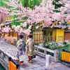 Epoch Jigsaw Puzzle 25-138 Tatsumi Bridge And Cherry Blossom In Kyoto (300 Pieces) Fashion