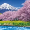 Epoch Jigsaw Puzzle 10-804 Urui River Ryugambuchi, Mount Fuji, Shizuoka, Japan (1000 Pieces) Cheap