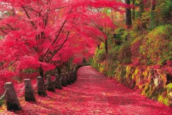 Epoch Jigsaw Puzzle Autumn Leaves Yoshino Mountain In Nara (2016 S-Pieces) Sale