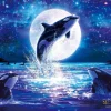 Epoch Jigsaw Puzzle 28-332S Lassen Majestic Saga (Glow In The Dark) (300 Pieces) Fashion