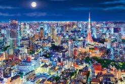 Epoch 12-514S Jigsaw Puzzle Glittering Tokyo Night (Glow In The Dark) (1000 Pieces) Sale