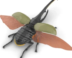 Hot Fujimi Research Series Hercules Beetle Plastic Model