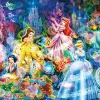 Tenyo Japan Jigsaw Puzzle D300-248 Disney Princess Brilliant Dream (300 Pieces) Cheap