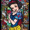 Tenyo Japan Jigsaw Puzzle Dsg-266-957 Disney Snow White Stained Glass (266 Pieces) Outlet