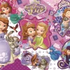 Tenyo Jigsaw Puzzle Disney Princess Sophia And Friends (60 Pieces) Child Puzzle Cheap