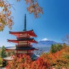 Yanoman 01-2088 Jigsaw Puzzle Autumn Scenery Of Arakurayama Sengen Park Yamanashi Japan (108 L-Pieces) Store