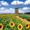 Yanoman 01-2082 Jigsaw Puzzle Dutch Windmill And Sunflowers Chiba Japan (108 L-Pieces) Shop