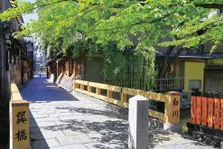 Yanoman 10-1361 Jigsaw Puzzle Gion Tatsumi Bridge Kyoto (1000 Pieces) Online