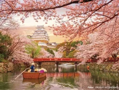 Yanoman 2308-28 Jigsaw Puzzle Himeji Castle And Cherry Blossoms (150 S-Pieces) Best