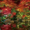 Yanoman 01-2084 Jigsaw Puzzle Kudara Temple Garden In Autumn Shiga Japan (108 L-Pieces) Best
