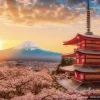 Yanoman 2308-27 Jigsaw Puzzle Mt. Fuji And Cherry Blossoms (150 S-Pieces) Flash Sale