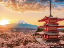 Yanoman 2308-27 Jigsaw Puzzle Mt. Fuji And Cherry Blossoms (150 S-Pieces) Flash Sale