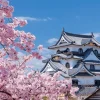 Yanoman 01-2087 Jigsaw Puzzle National Treasure Hikone Castle And Sakuragi Shiga Japan (108 L-Pieces) Hot