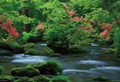 Yanoman 01-2086 Jigsaw Puzzle Oirase Stream Aomori Japan (108 L-Pieces) Best Sale