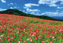 Yanoman 01-2089 Jigsaw Puzzle Poppy In The Sky Chichibu Kogen Ranch Saitama Japan (108 L-Pieces) Outlet