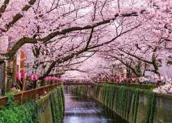 Yanoman Jigsaw Puzzle Meguro River Cherry Blossom Festival In Tokyo (500 Pieces) Online